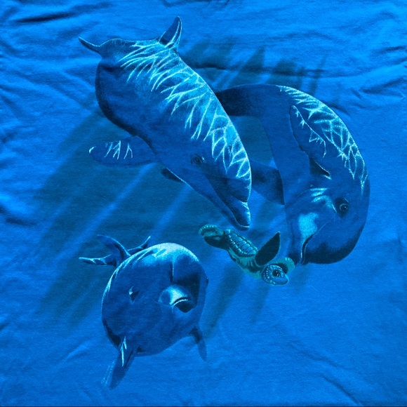 Vintage Dolphins and Turtles Hanes 90s Hilton Head Island South Carolina - Picture 2 of 8